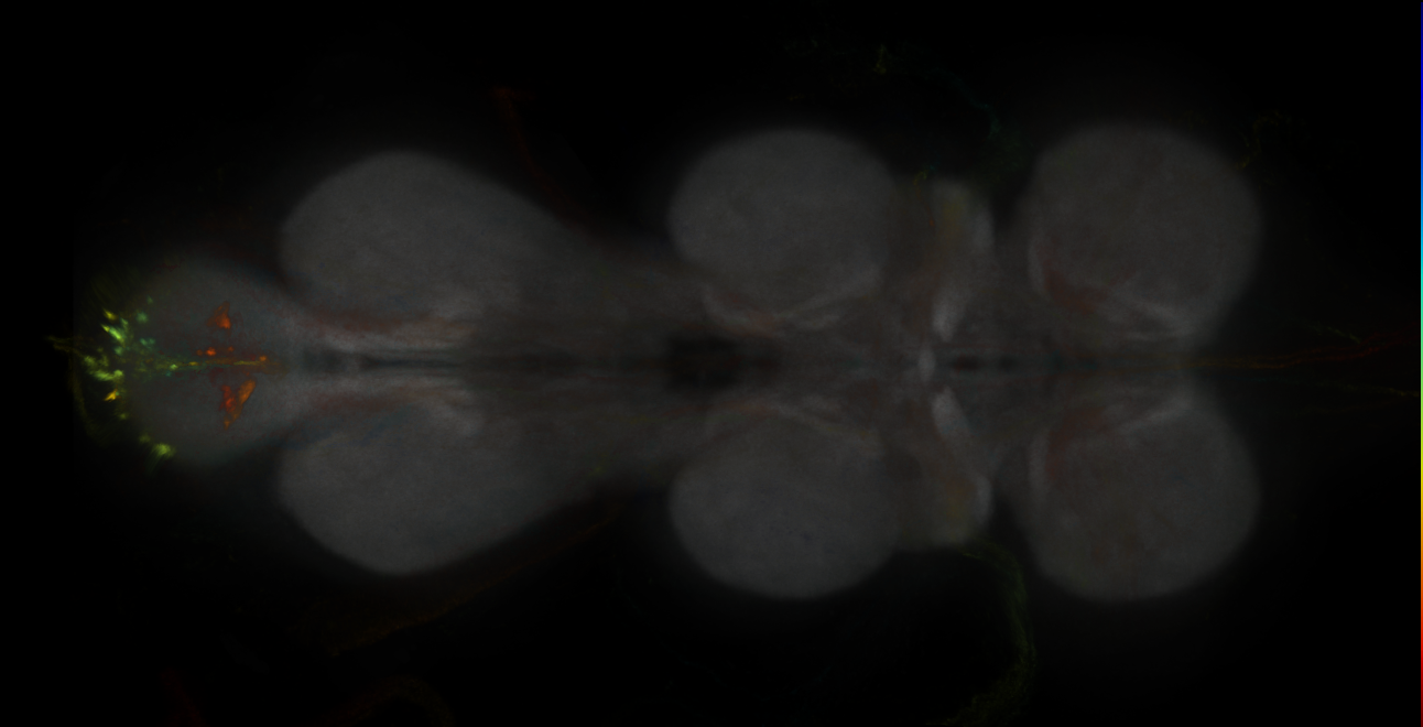JRC_MB465C_VNC_2020__2