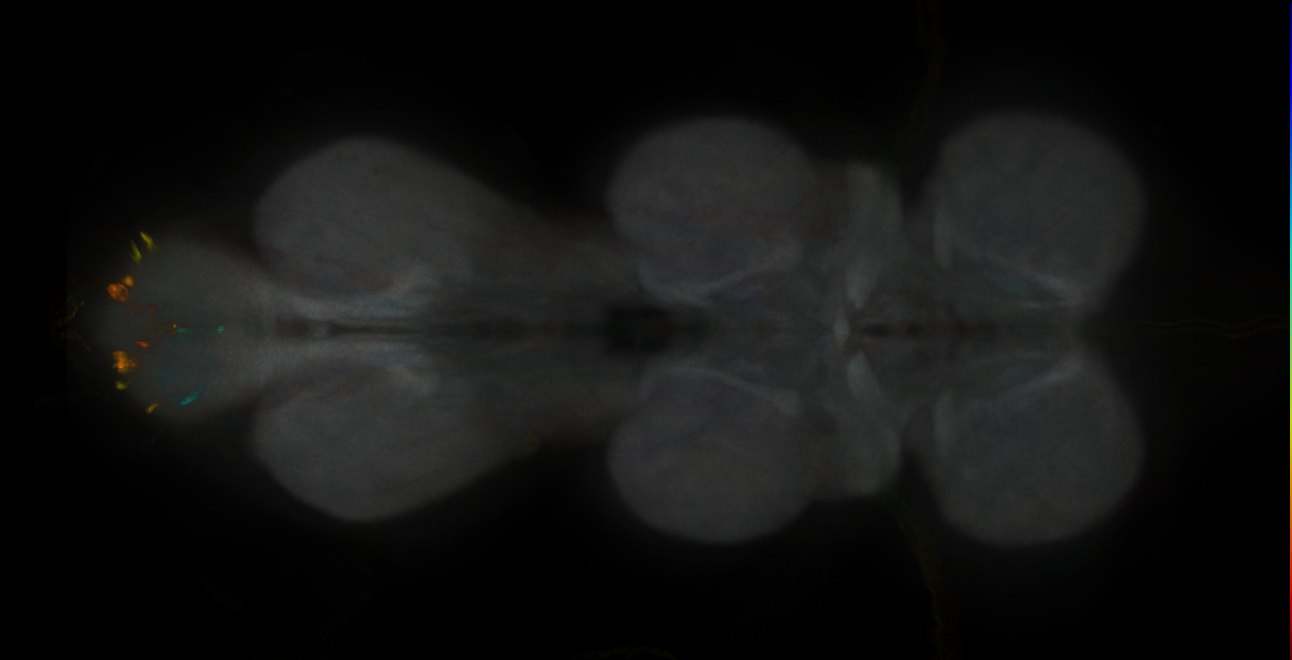 JRC_MB083C_VNC_2020__1