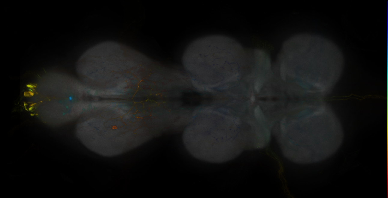 JRC_MB083C_VNC_2020__2