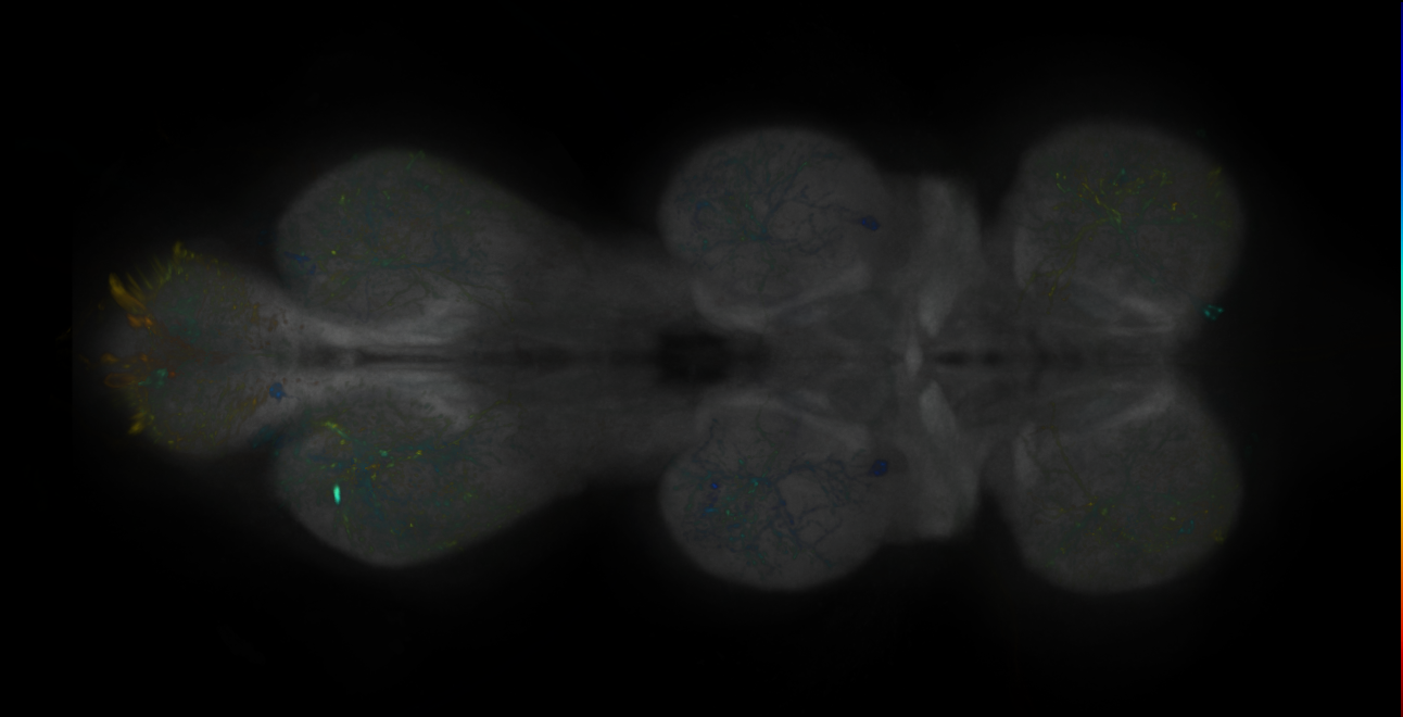 JRC_MB262B_VNC_2020__1