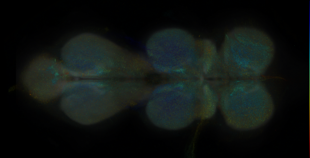 JRC_MB042B_VNC_2020__1