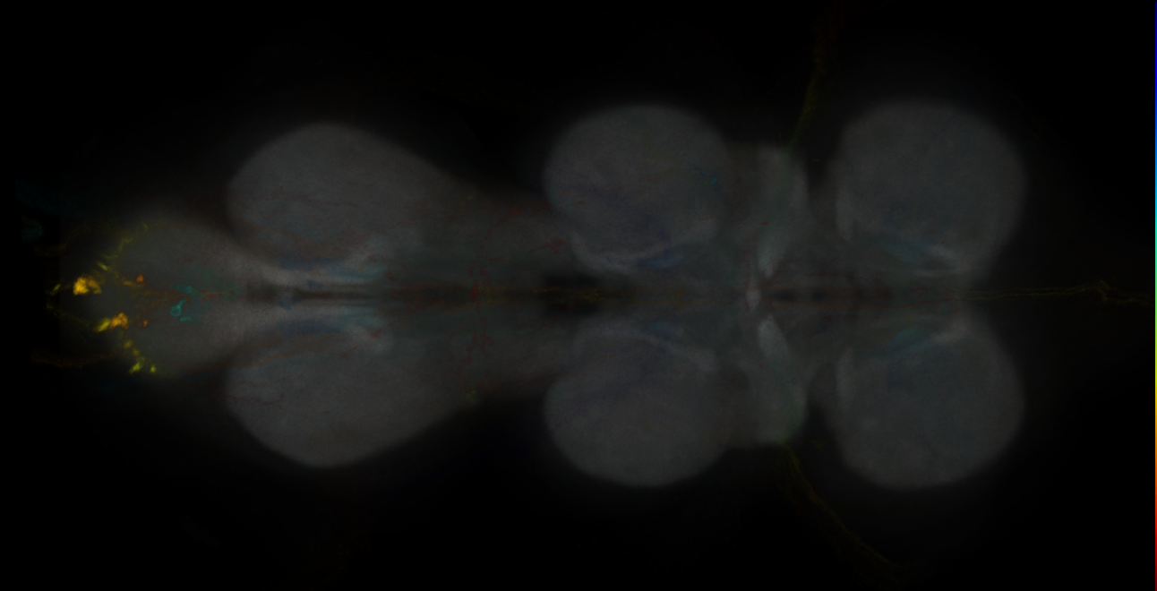 JRC_MB213B_VNC_2020__2