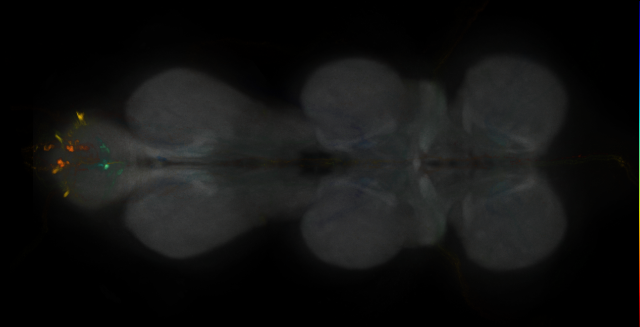 JRC_MB213B_VNC_2020__3