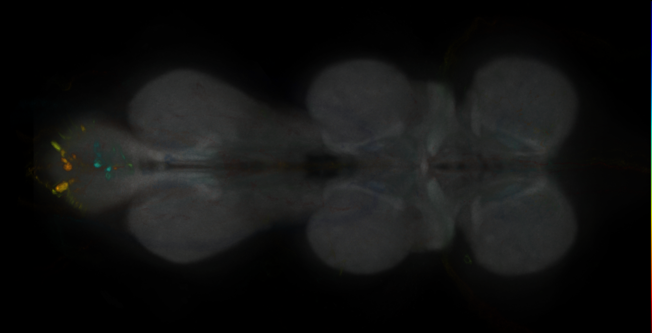 JRC_MB213B_VNC_2020__4