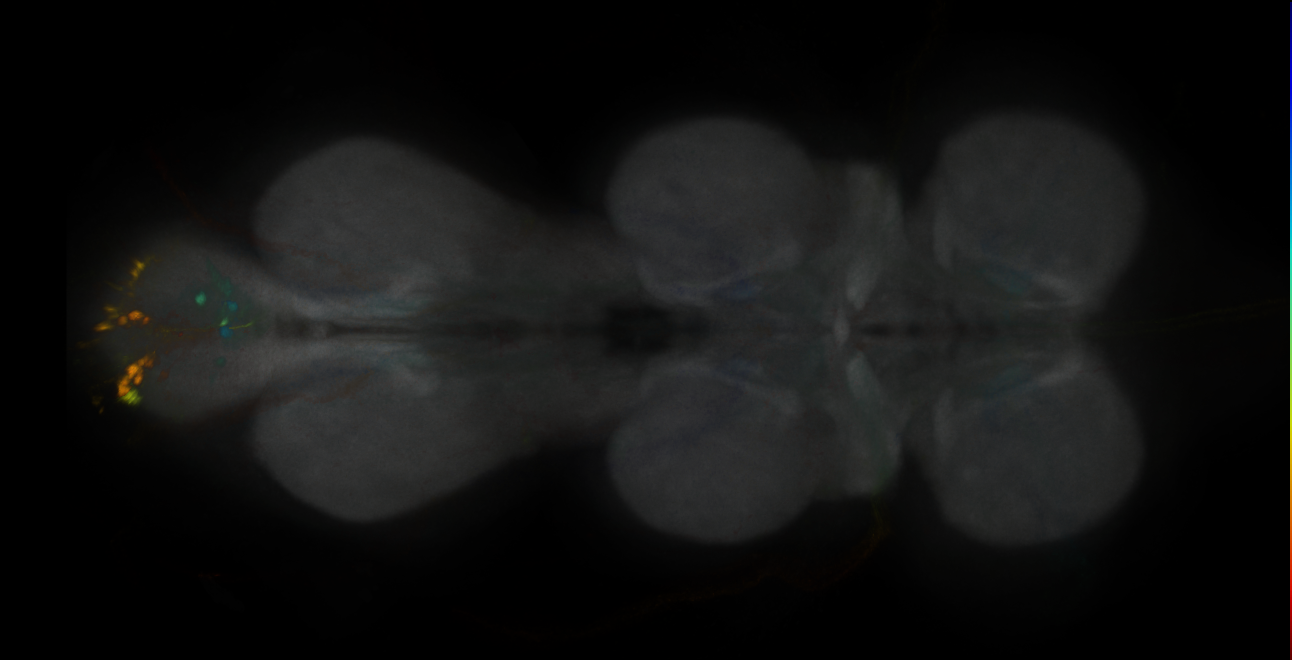 JRC_MB047B_VNC_2020__3