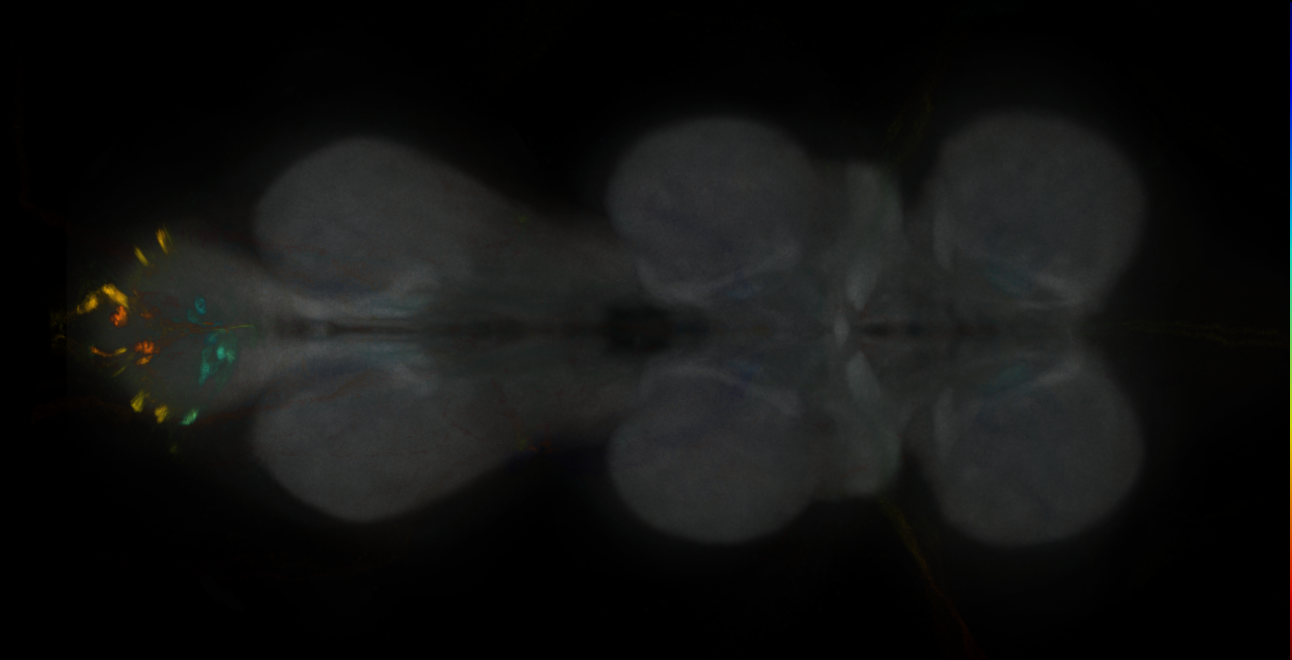 JRC_MB109B_VNC_2020__1