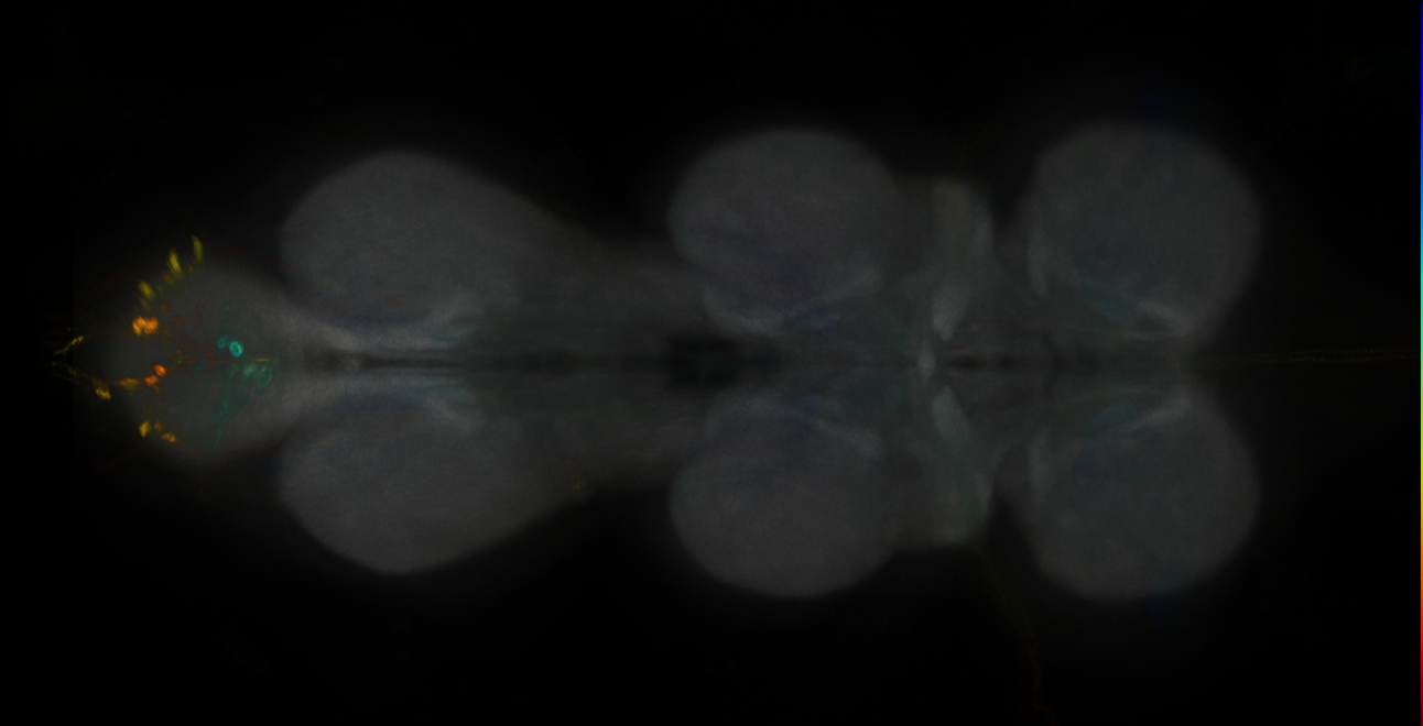 JRC_MB109B_VNC_2020__2