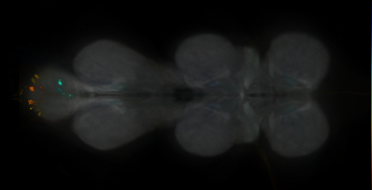 JRC_MB109B_VNC_2020__3