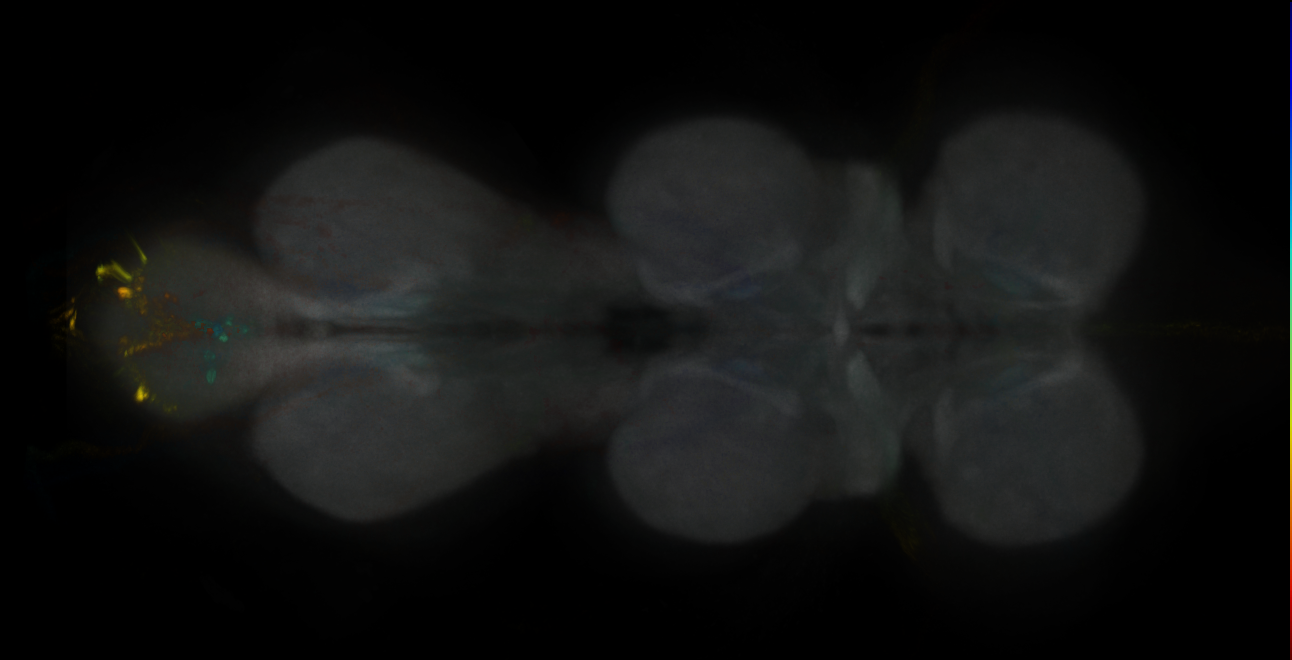 JRC_MB312B_VNC_2020__1