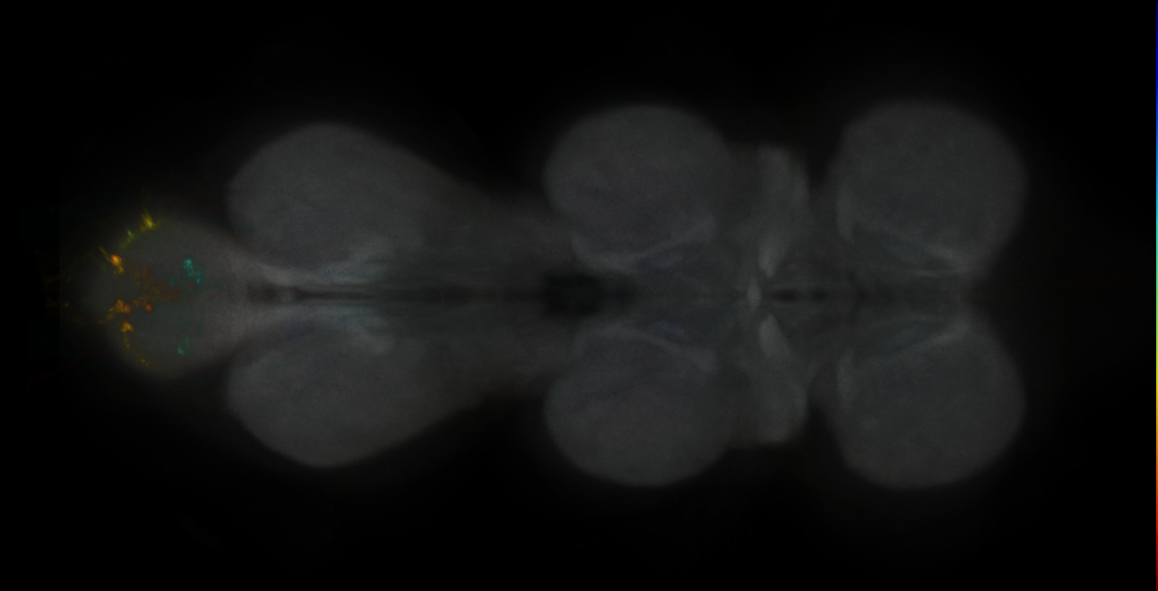 JRC_MB312B_VNC_2020__2