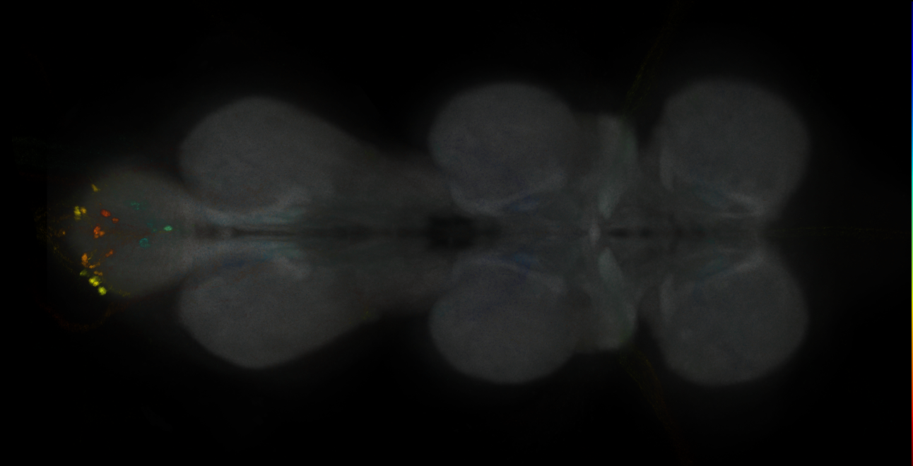 JRC_MB002B_VNC_2020__1