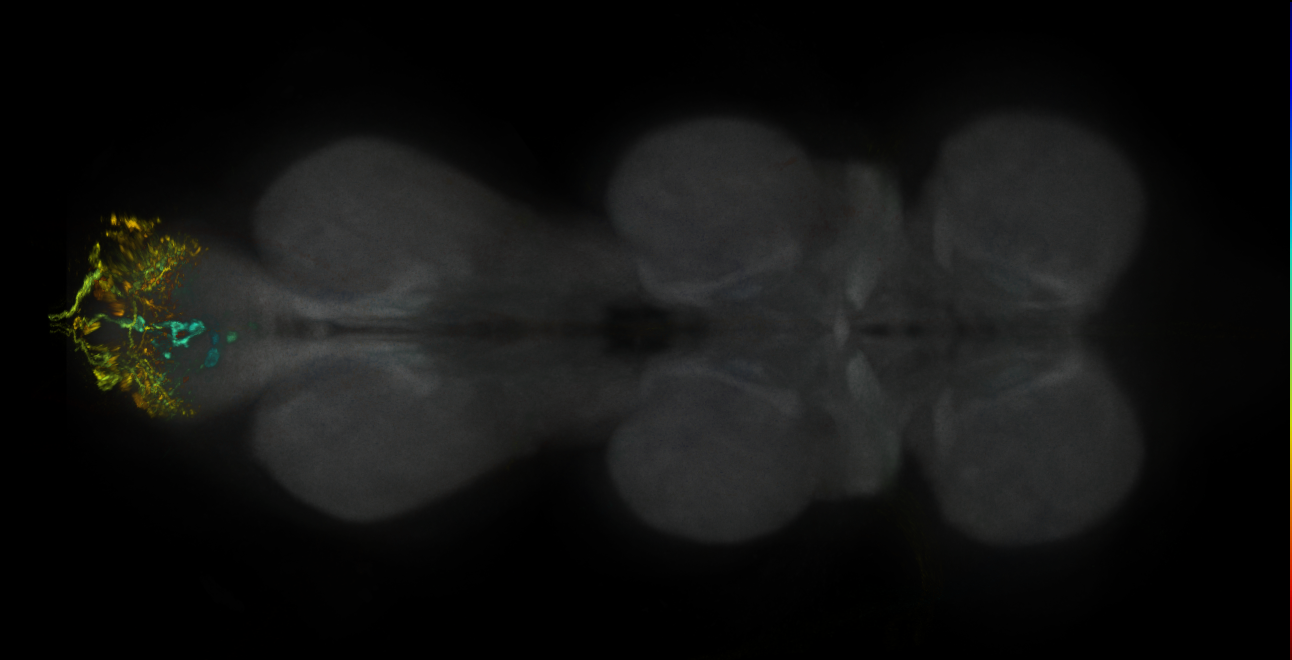 JRC_MB210B_VNC_2020__1
