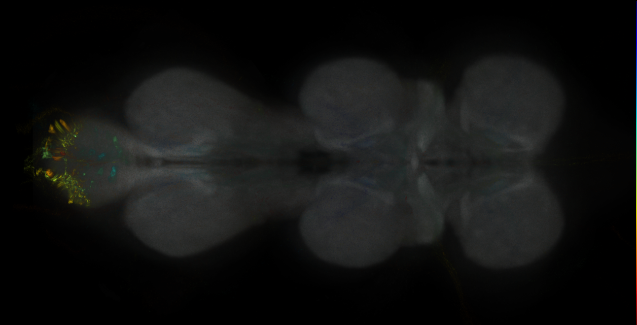 JRC_MB011B_VNC_2020__1
