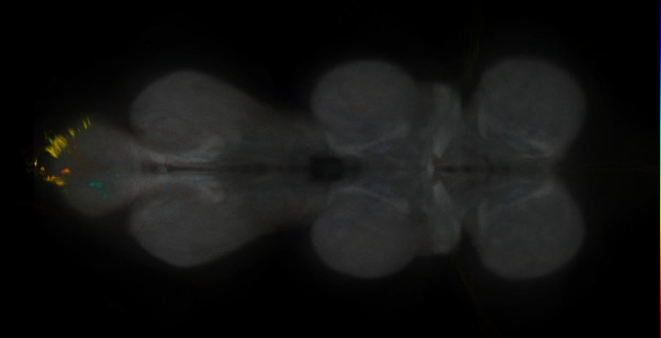 JRC_MB195B_VNC_2020__1