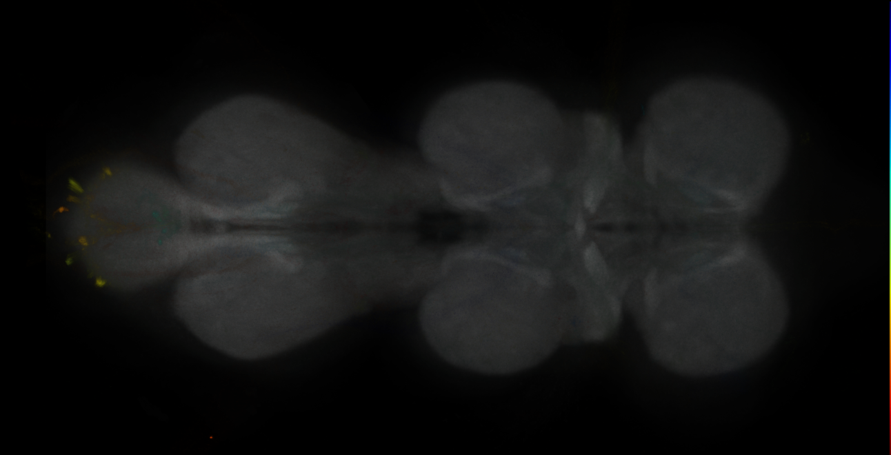 JRC_MB316B_VNC_2020__1