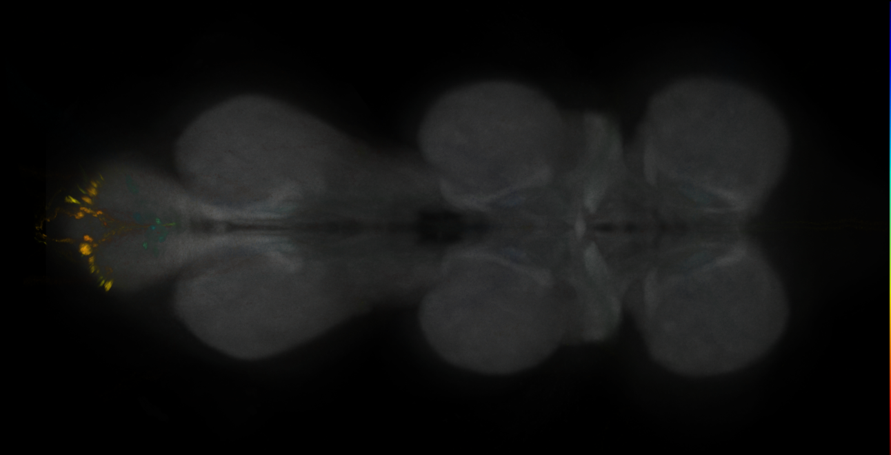 JRC_MB194B_VNC_2020__1