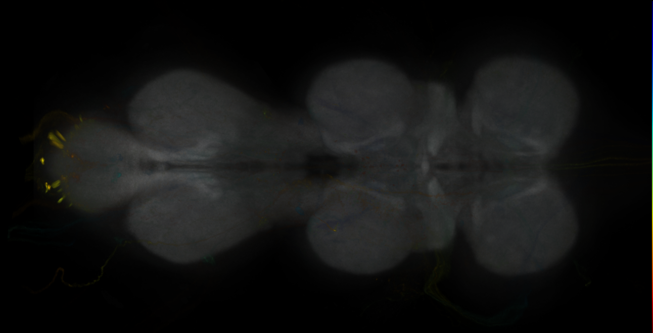 JRC_MB296B_VNC_2020__4