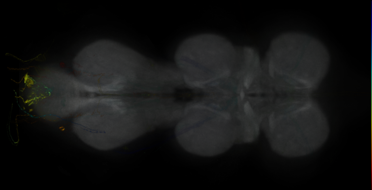 JRC_MB025B_VNC_2020__2