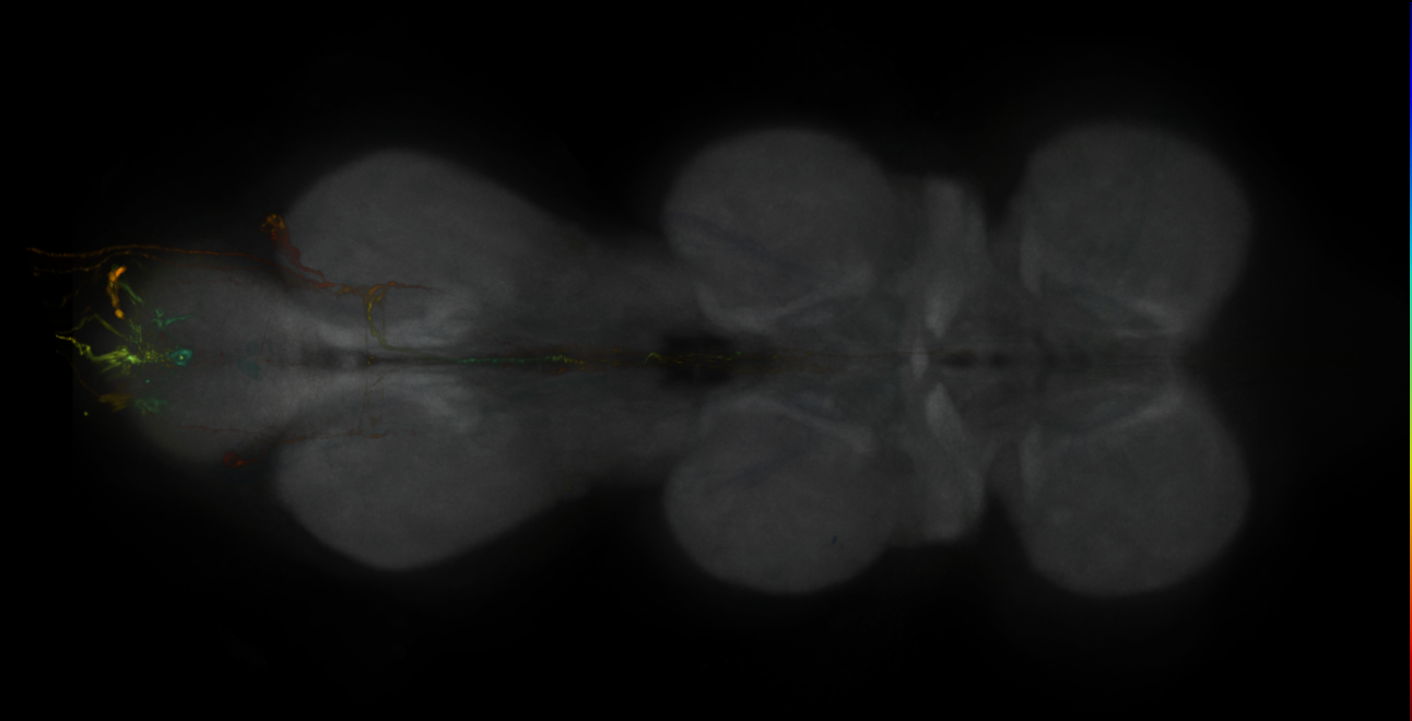 JRC_MB025B_VNC_2020__3