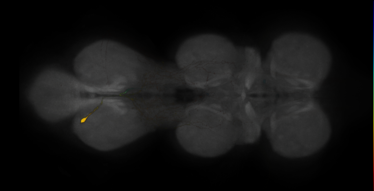 JRC_MB113C_VNC_2020__1