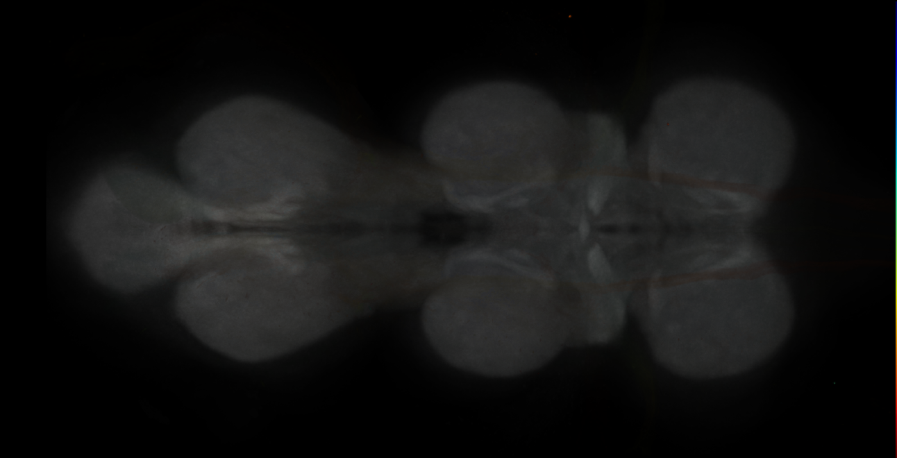 JRC_MB042B_VNC_2020__3