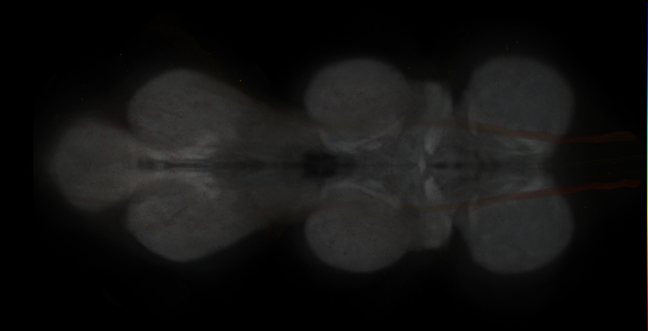 JRC_MB196B_VNC_2020__2