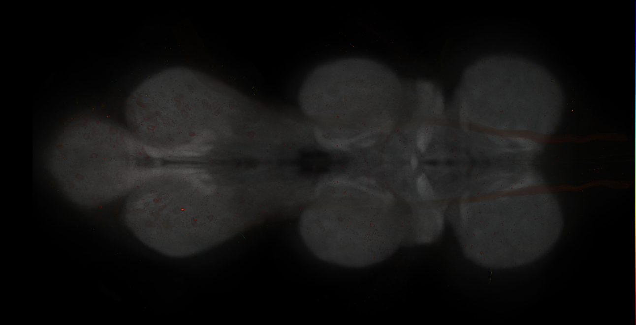 JRC_MB196B_VNC_2020__3