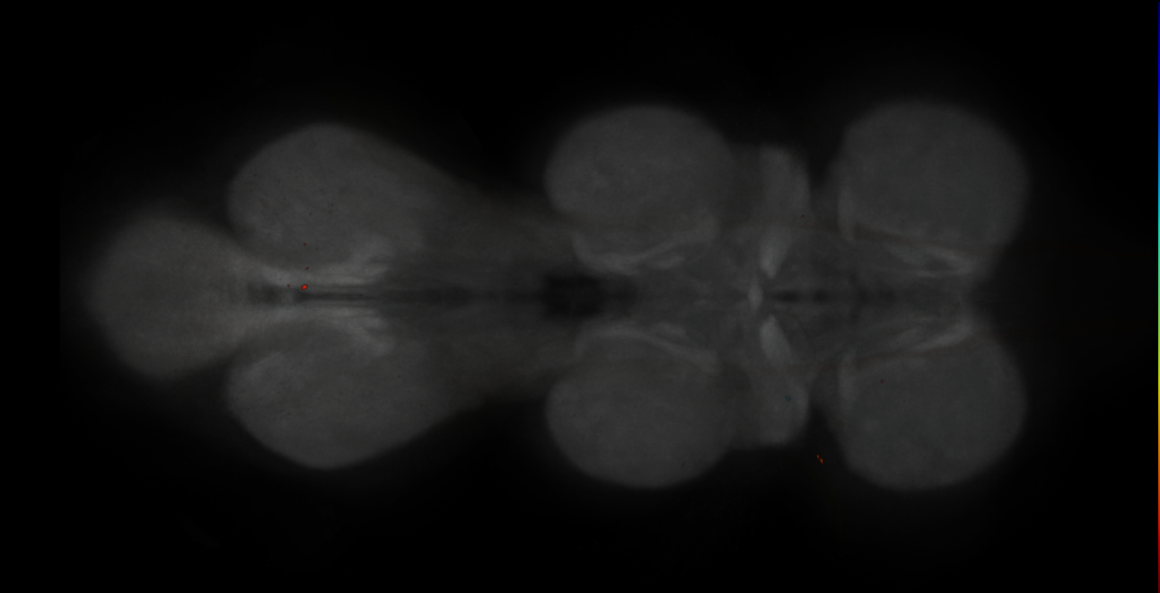 JRC_MB188B_VNC_2020__2