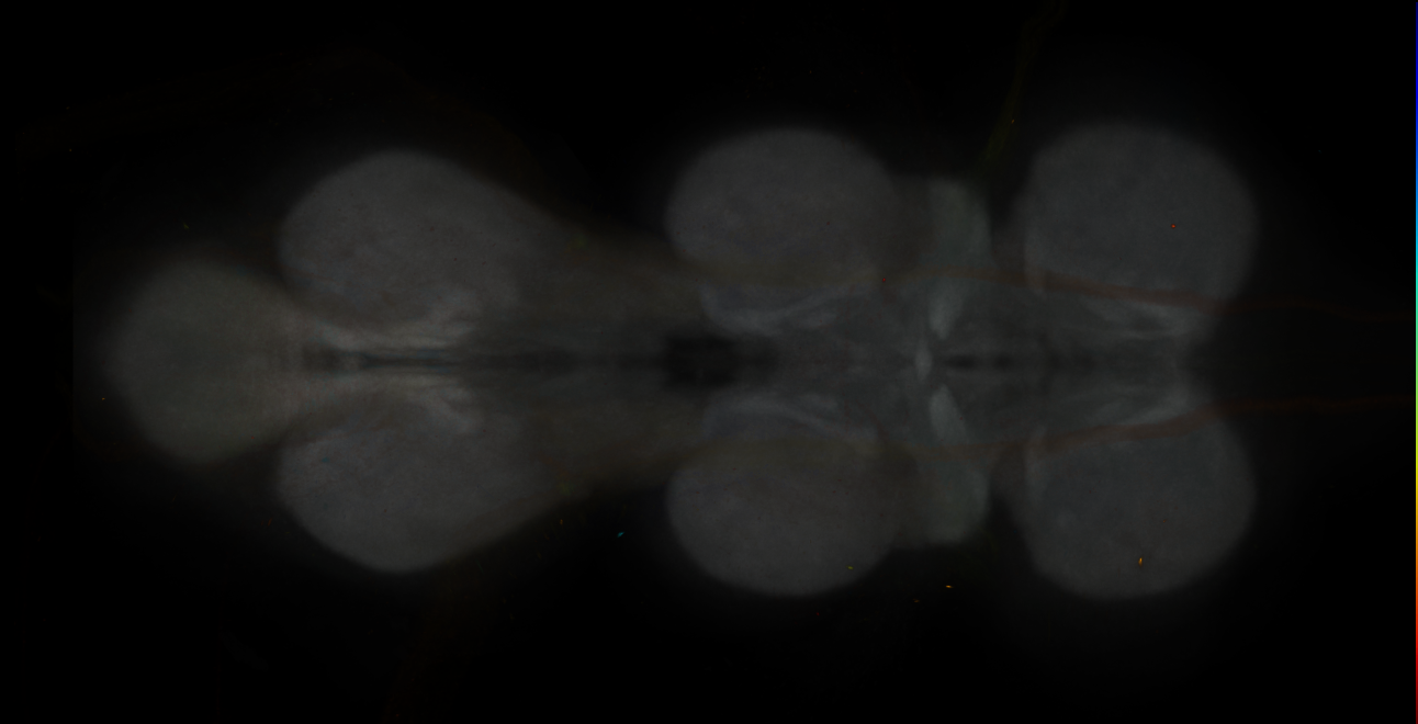 JRC_MB312B_VNC_2020__3