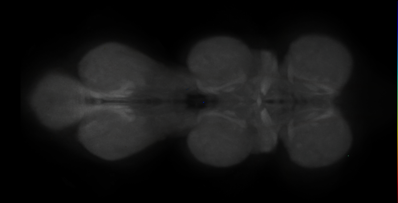 JRC_MB312B_VNC_2020__4