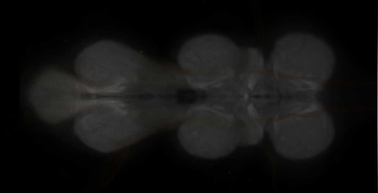 JRC_MB194B_VNC_2020__3