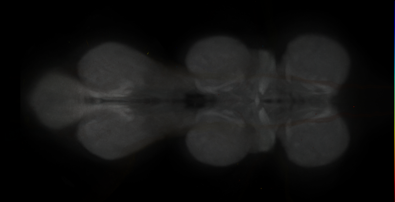 JRC_MB194B_VNC_2020__4
