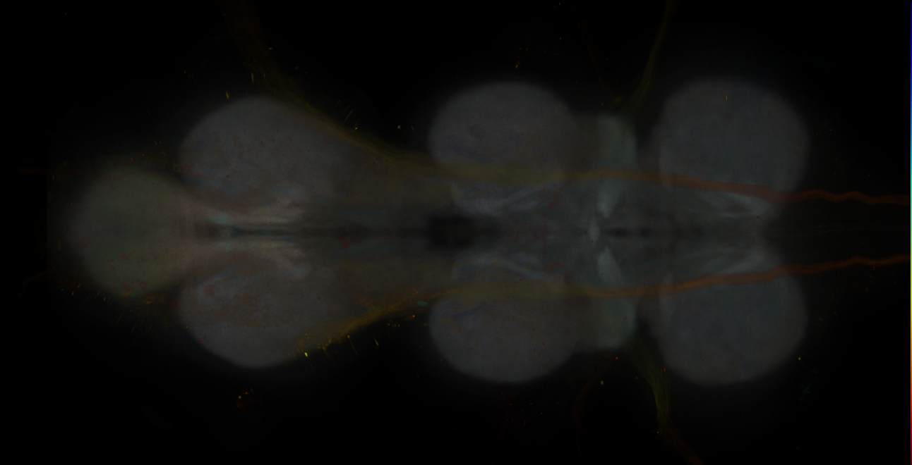 JRC_MB299B_VNC_2020__1