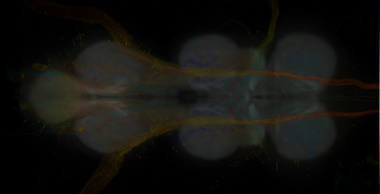 JRC_MB087C_VNC_2020__1