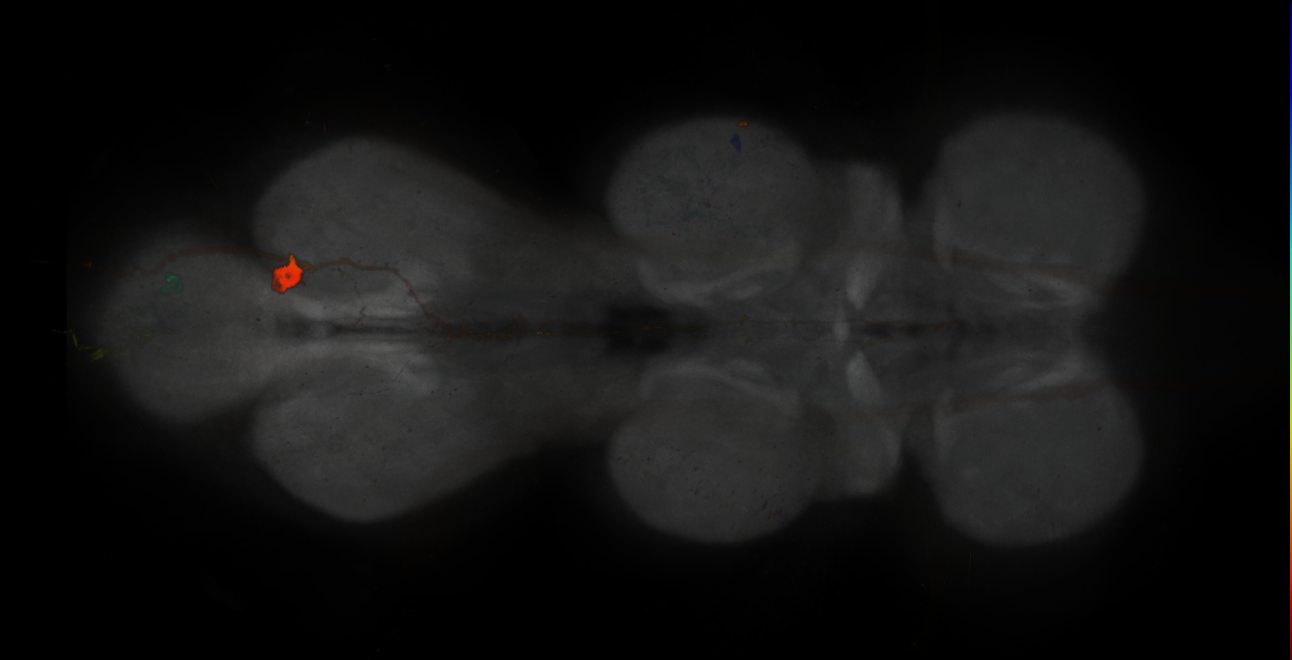 JRC_MB025B_VNC_2020__4