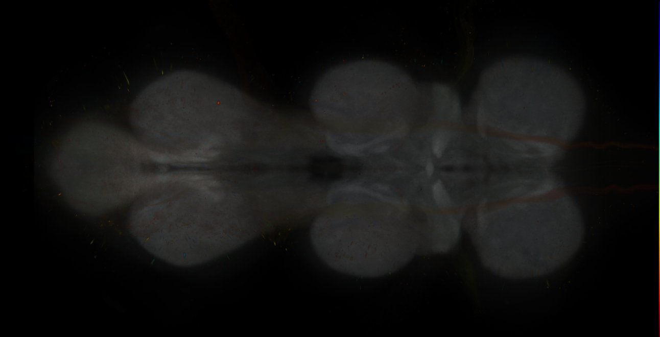 JRC_MB109B_VNC_2020__4
