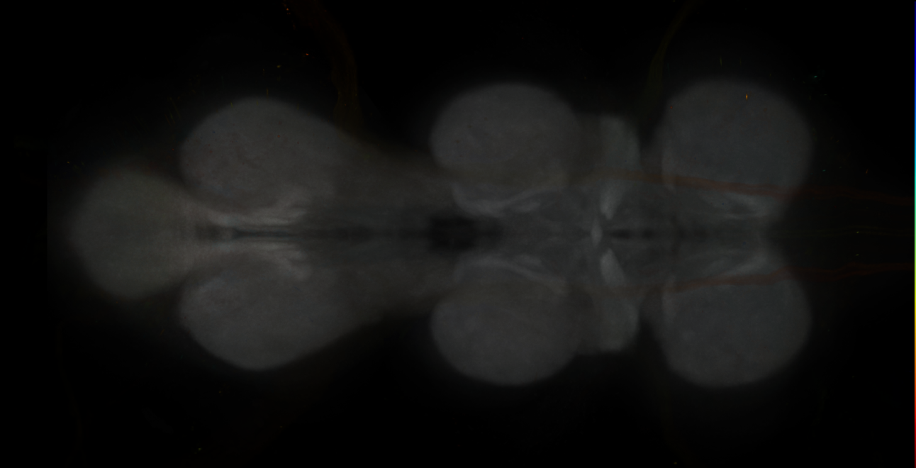 JRC_MB477B_VNC_2020__3