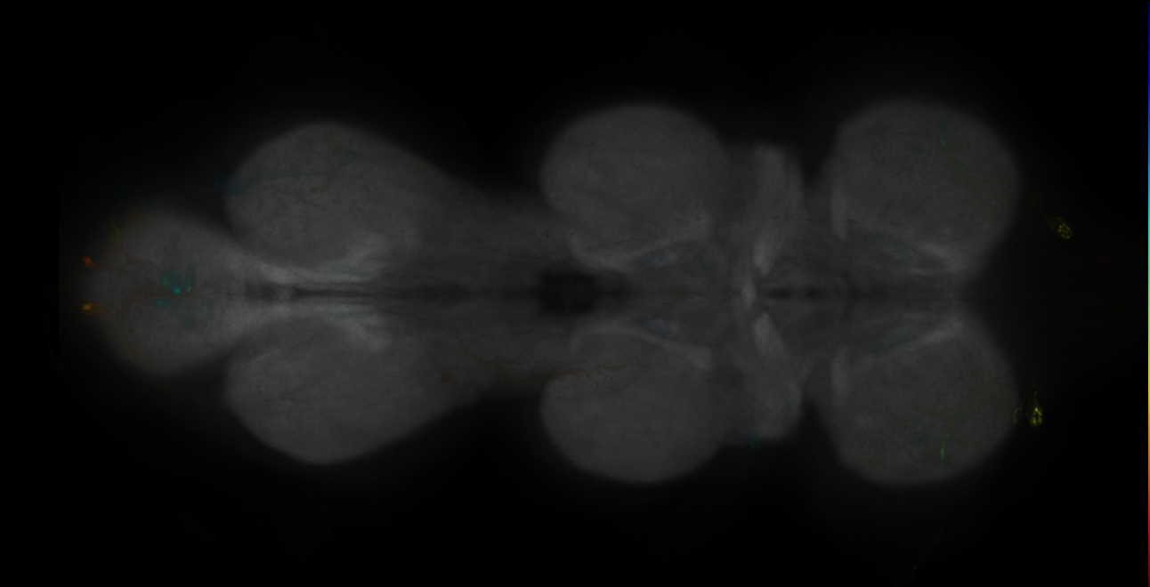 JRC_MB062B_VNC_2020__1