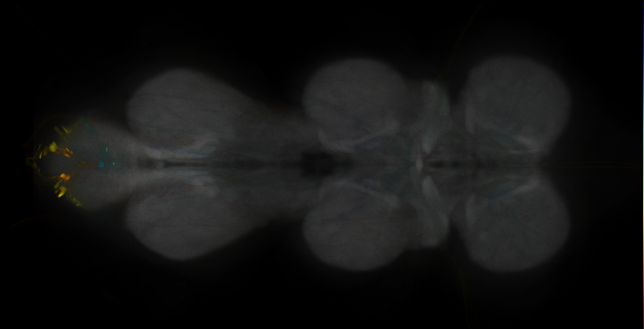 JRC_MB312C_VNC_2020__1