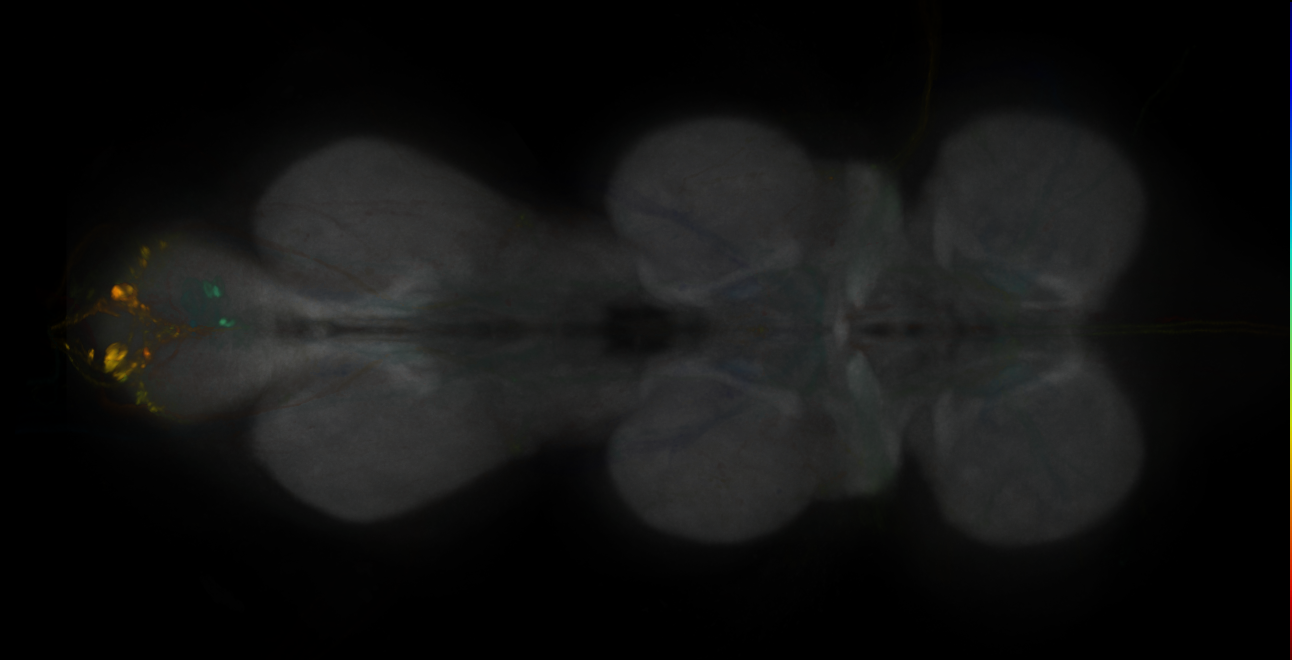 JRC_MB312C_VNC_2020__2