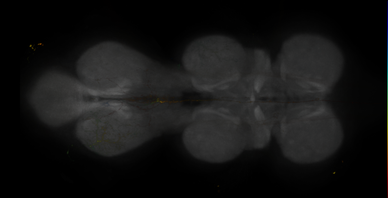 JRC_MB607B_VNC_2020__1