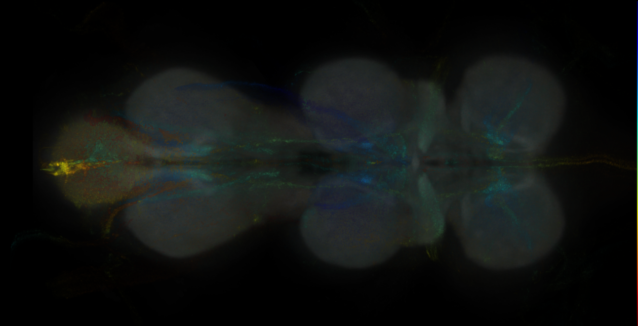 JRC_MB002B_VNC_2020__2