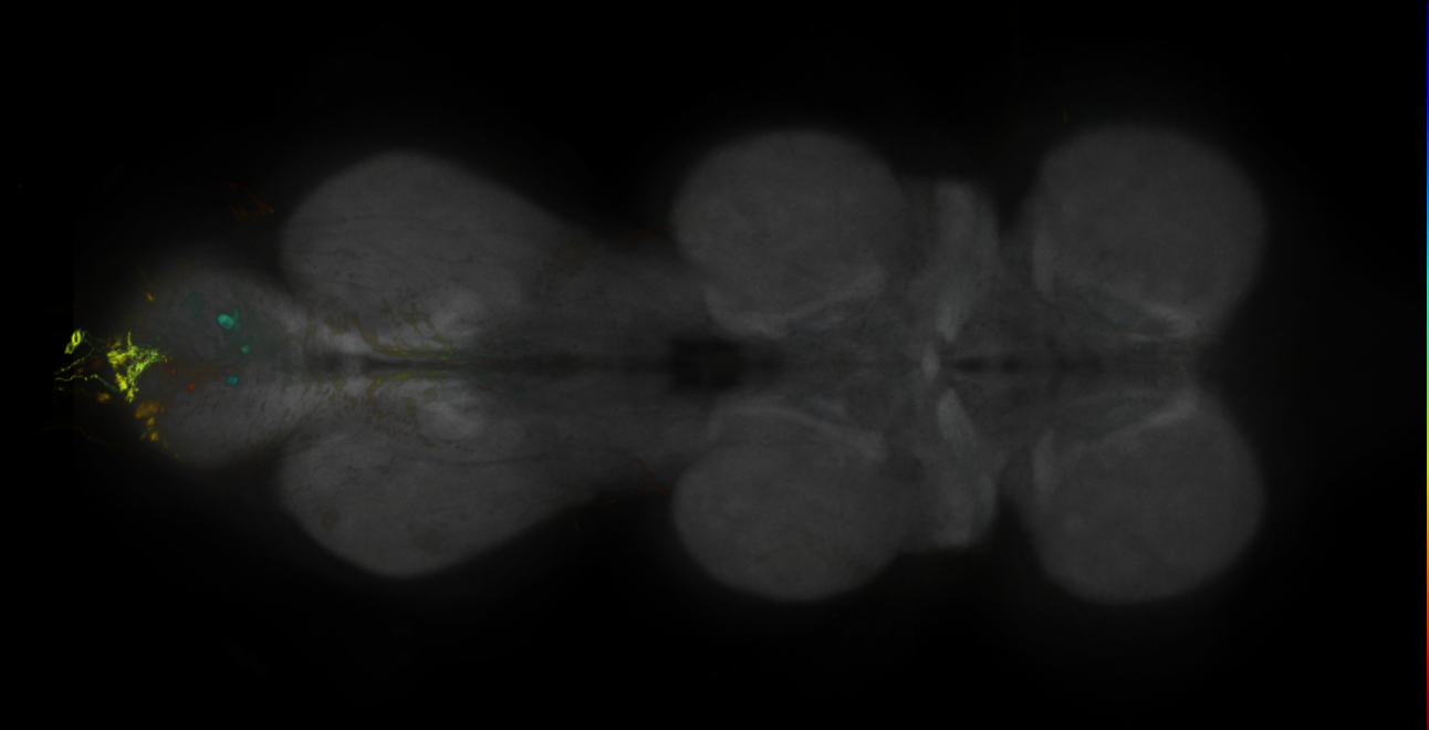 JRC_MB242A_VNC_2020__3
