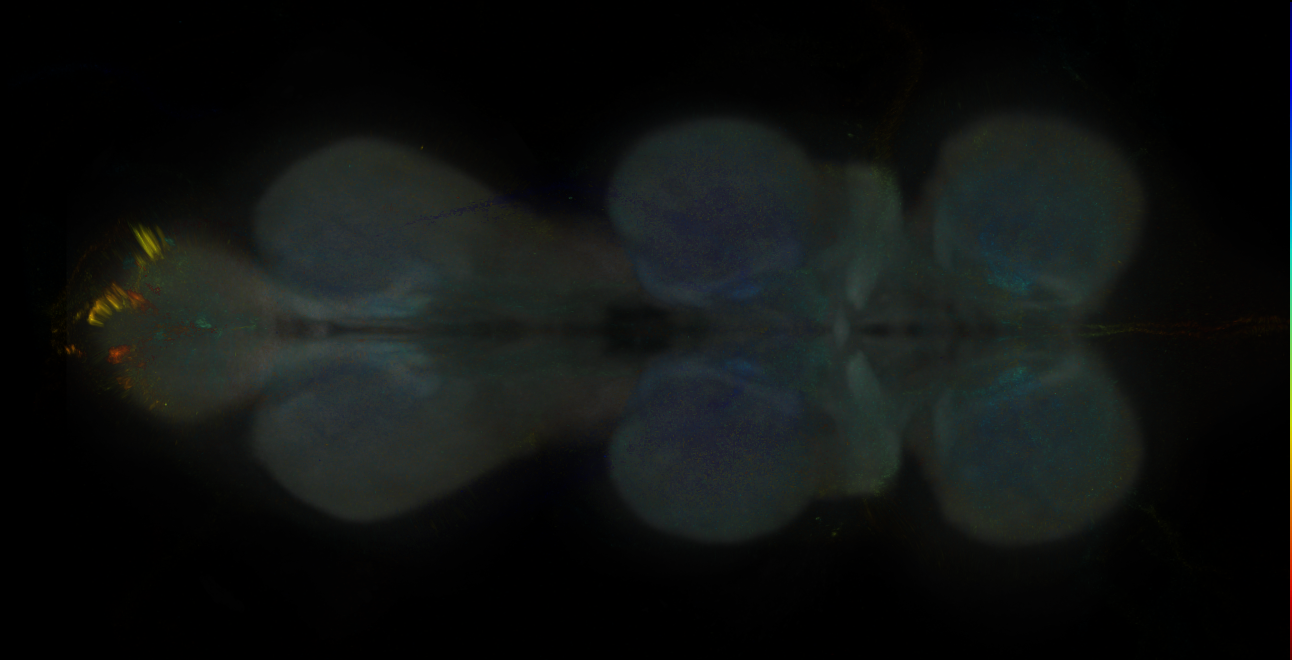 JRC_MB043B_VNC_2020__3
