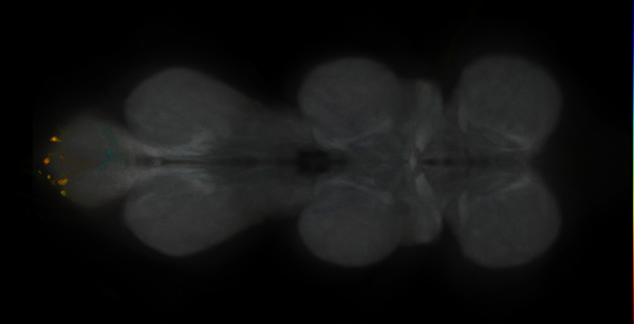 JRC_MB043B_VNC_2020__4