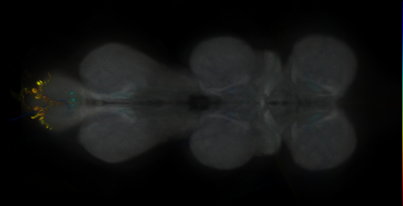 JRC_MB299B_VNC_2020__2