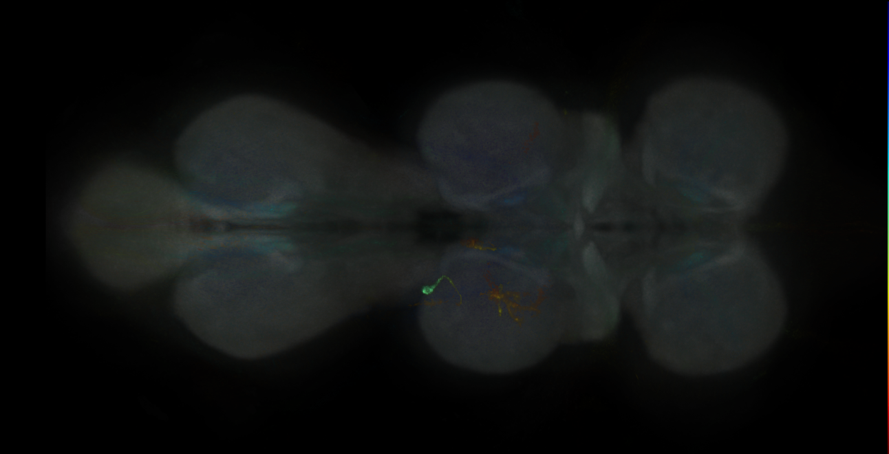 JRC_MB299B_VNC_2020__4