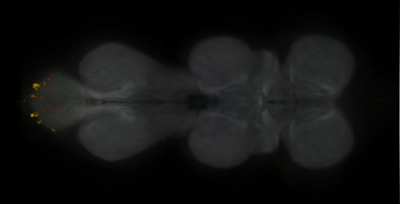 JRC_MB185B_VNC_2020__2