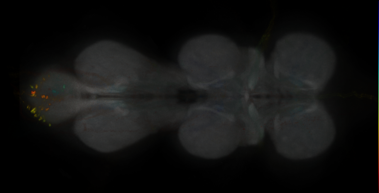JRC_MB434B_VNC_2020__1