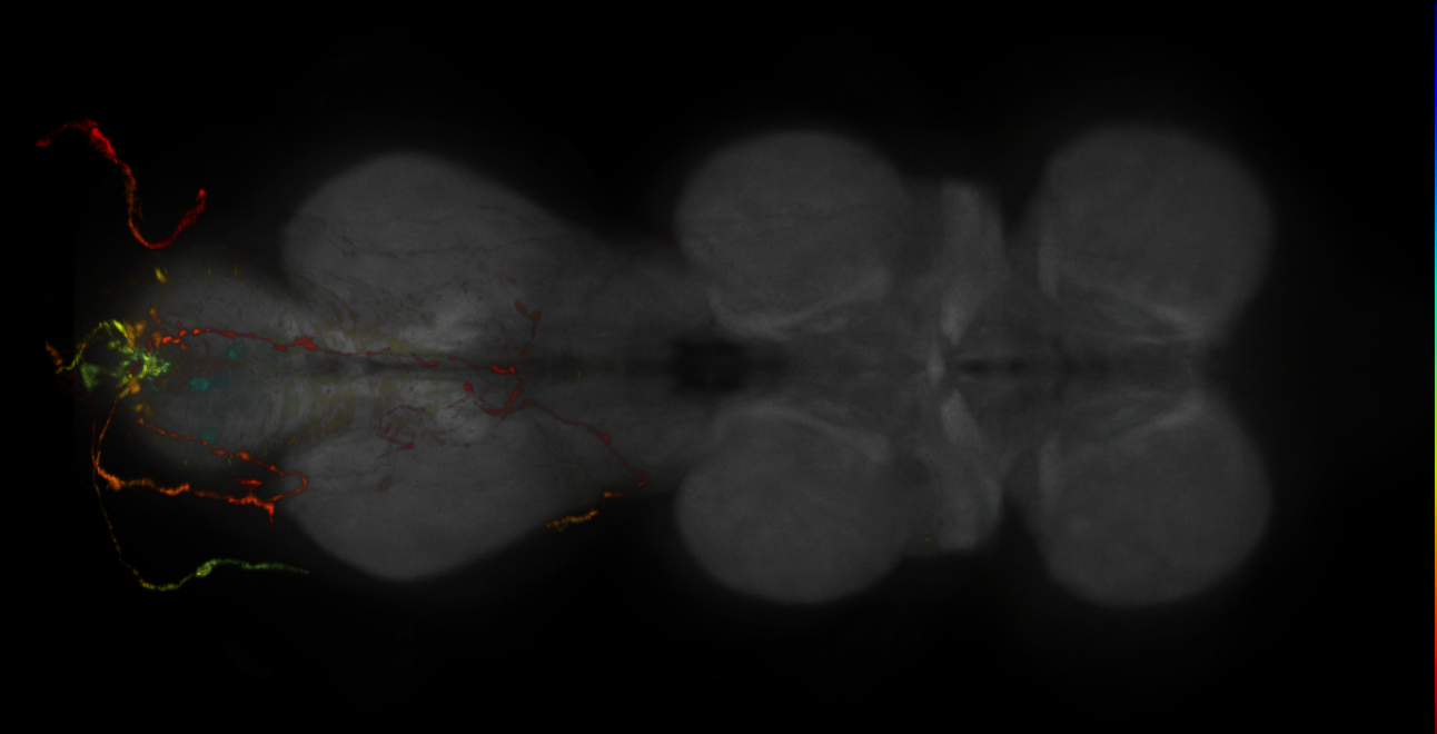 JRC_MB242A_VNC_2020__4